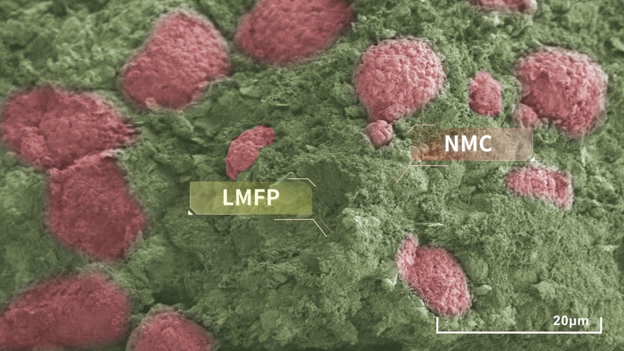 hcm-lmfp